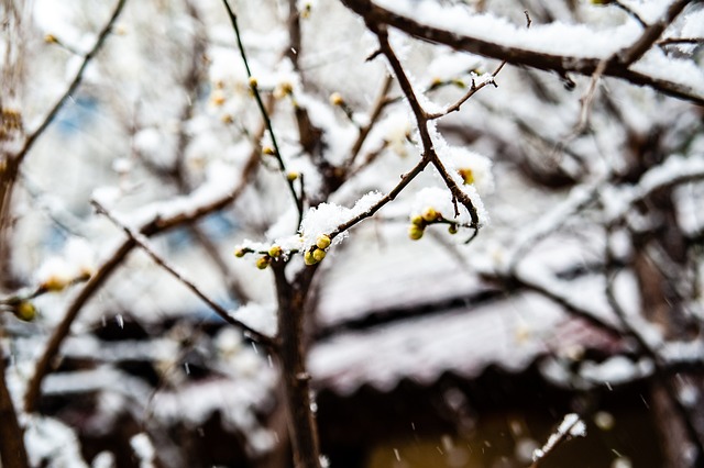 馈与心