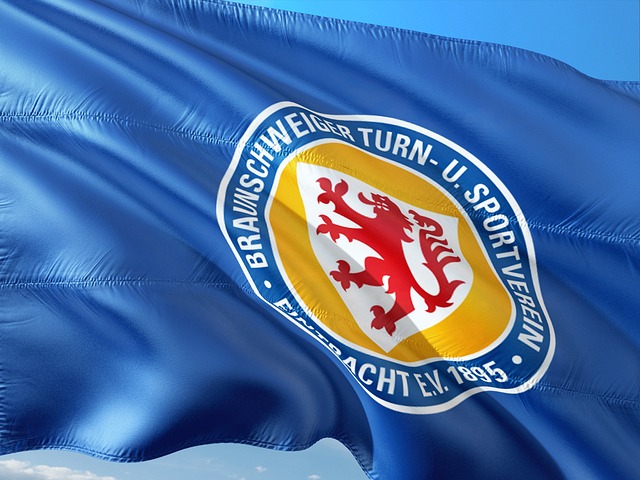 尽管灰熊队 尽管灰熊队