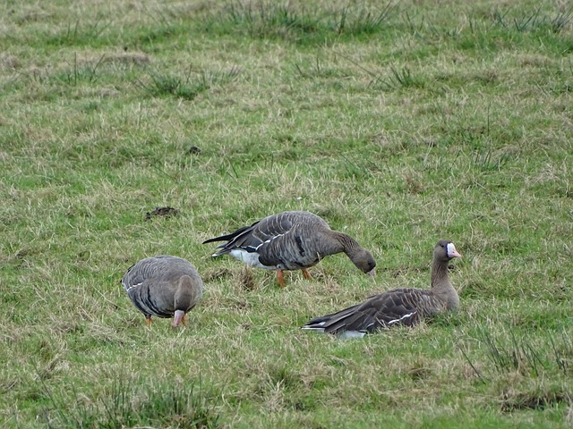 本文将深入 本文将深入