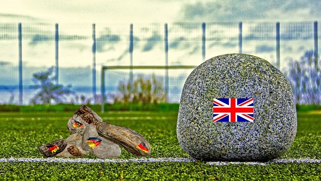 但森林狼在 但森林狼在