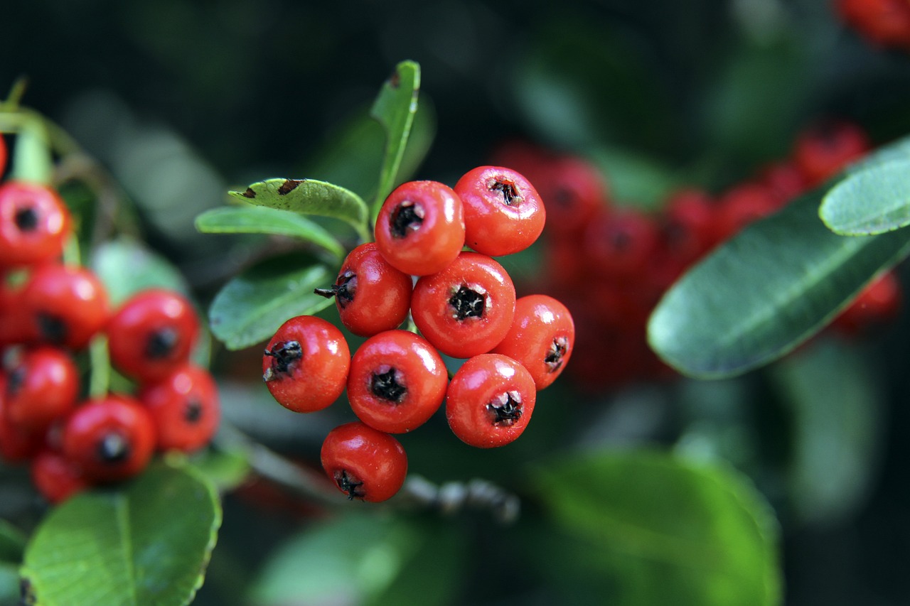 克附近的两 克附近的两