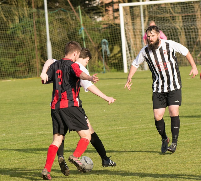 万欧元的收 万欧元的收