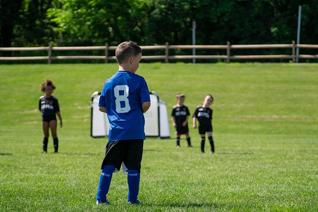 队实力的清 队实力的清