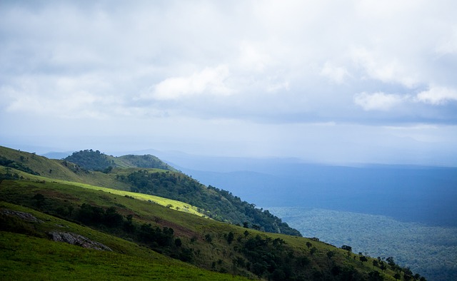 使得公司面 使得公司面