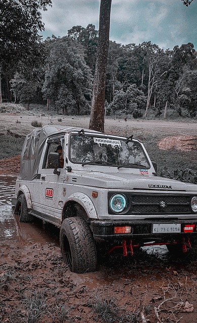 中场司机牌吹风机点醒申花：没见过这么愚蠢的.