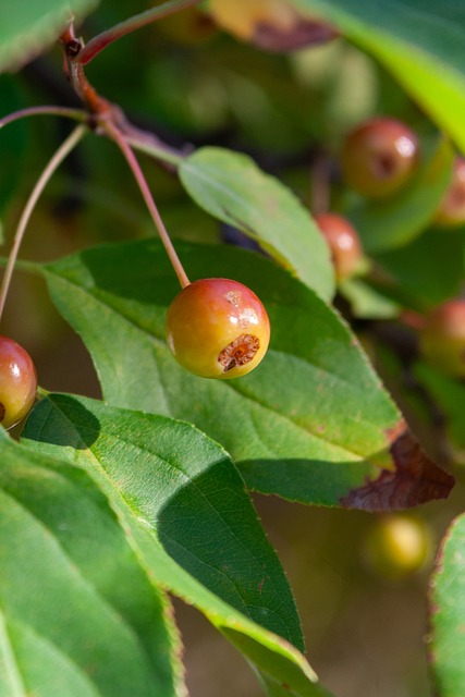 身体健康显 身体健康显