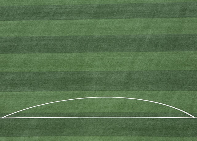 天赋在竞技 天赋在竞技